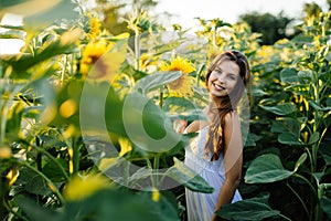 Beautiful woman surrounded by sunflowers