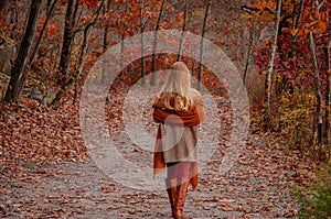 Beautiful woman traveler is walking in the autumn forest