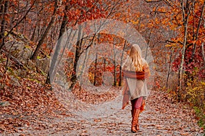 Beautiful woman traveler is walking in the autumn forest