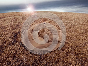 Beautiful woman in wheat field background beauty portrait photoshoot