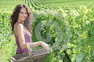 Beautiful woman in wine rows