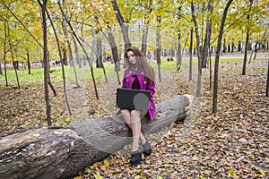 Beautiful woman working and writing letters on laptop in autumn park. A woman checks the email on the laptop photo