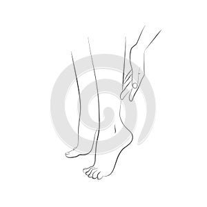 Beautiful womans female legs and hand vector