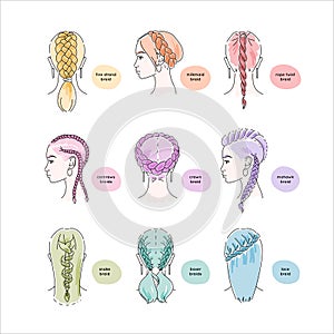 Beautiful women with hair braids in various styles art