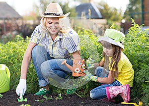 Beautiful woman and chid daughter planting seedlings in bed in domestic garden at summer day. Gardening activity with