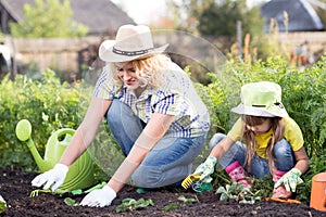 Beautiful woman and chid daughter planting seedlings in bed in domestic garden at summer day. Gardening activity with