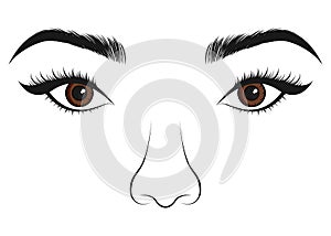 Beautiful women portrait. Long lashes, eyes and nose. Vector illustration.