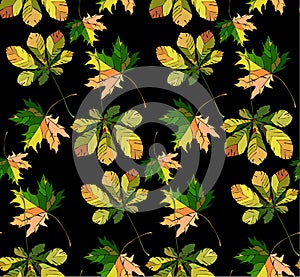 Beautiful wonderful graphic bright floral herbal autumn green chestnut leaves and chestnuts pattern on black background vector