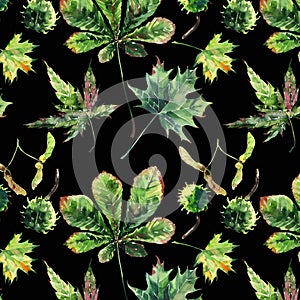 Beautiful wonderful graphic bright floral herbal autumn green maple chestnut leaves and chestnuts pattern on black background wat