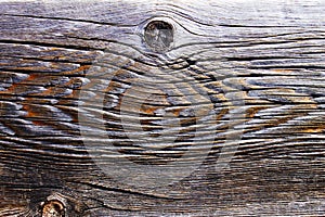 Beautiful wood grain close-up photo