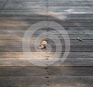 Beautiful wooden background with the leaf