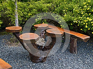 Beautiful wooden bench in a garden