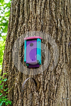 Beautiful wooden bird house on tree in New Hope