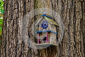 Beautiful wooden bird house on tree in New Hope