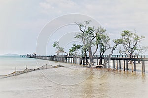 Beautiful wooden bridge extending into the sea at koh mak ,trat , thailand