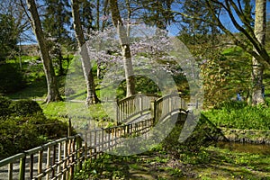 Beautiful wooden bridge in an oriental park