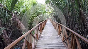 Beautiful wooden bridge pathway walking covered both sides with sea ocean water plants mangroves