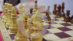 Beautiful wooden chess pieces standing on board, close-up video, hobby