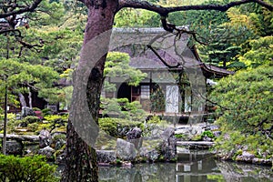 Beautiful wooden cottage by a lake surrounded by trees captured in a Japanese garden