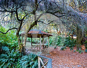 Beautiful wooden gazebo.