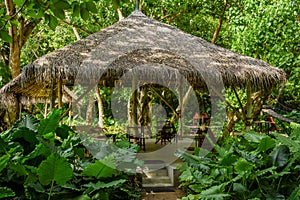 Beautiful wooden hut among jungles at the tropical island