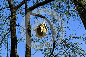 A beautiful wooden nesting box hangs on a tree branch