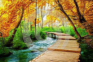 Beautiful wooden path in Plitvice Lake, Croatia.