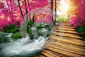 Beautiful wooden path in Plitvice Lake, Croatia