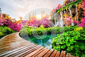 Beautiful wooden path in Plitvice Lake, Croatia