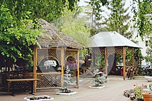 Beautiful wooden pergola in the garden. Landscape design