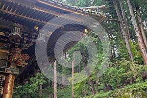 Beautiful wooden roof of japanese temple with fresh green trees background