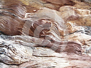 Beautiful Wooden Surface