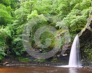 Beautiful woodland stream and waterfall in Summer