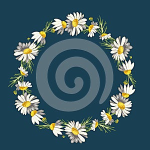 Beautiful wreath of field daisies