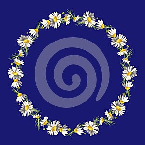 Beautiful wreath of field daisies on a blue background.