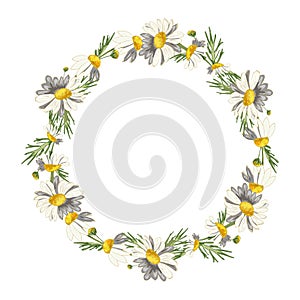 Beautiful wreath of field daisies. Rustic decor.