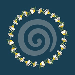 Beautiful wreath of small field daisies on a classic blue background.