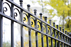 Beautiful wrought fence. Image of a decorative cast iron fence. metal fence. beautiful fence with artistic forging