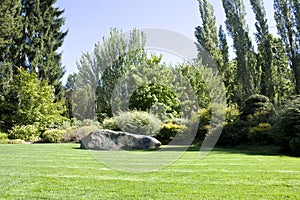 Beautiful yard with lush greenery photo