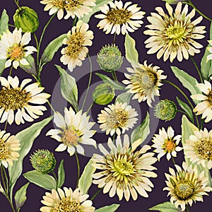 Beautiful yellow and beige daisy flowers with green leaves on deep brown background. Seamless spring pattern.