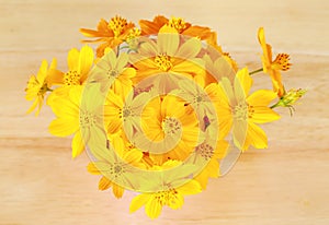 Beautiful yellow cosmos flower on wooden.