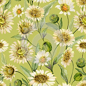 Beautiful yellow daisy flowers with green leaves on light green background. Seamless spring pattern. Watercolor painting.
