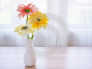 Yellow Gerbera jamesonii daisy flower in vase on table ,Barberton Transvaal daisy copy space for text or lettering flower in ce