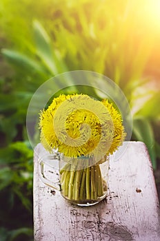 Beautiful yellow dandelions on a natural background