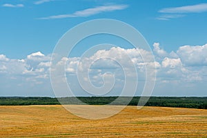 A beautiful yellow field against a blue sky. Agro-industrial complex for the cultivation of cereals, wheat, legumes, barley, beans