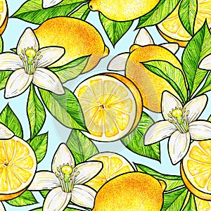 Beautiful yellow lemon fruits and white flowers citrus with green leaves on blue background. Flowers lemon doodle drawing.