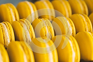 Beautiful Yellow Macarons in Gift Box