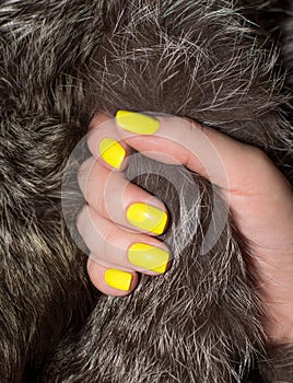 Beautiful yellow manicure and furs