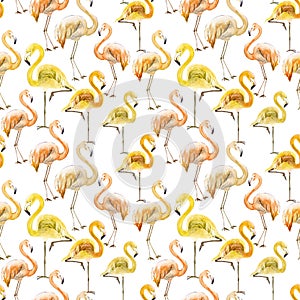 Beautiful yellow and orange flamingo on white background. Exotic seamless pattern. Watercolor painting.