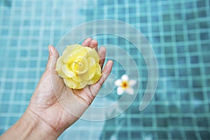 Beautiful yellow rose candle flower on girl hand over blurred blue swimming pool water background